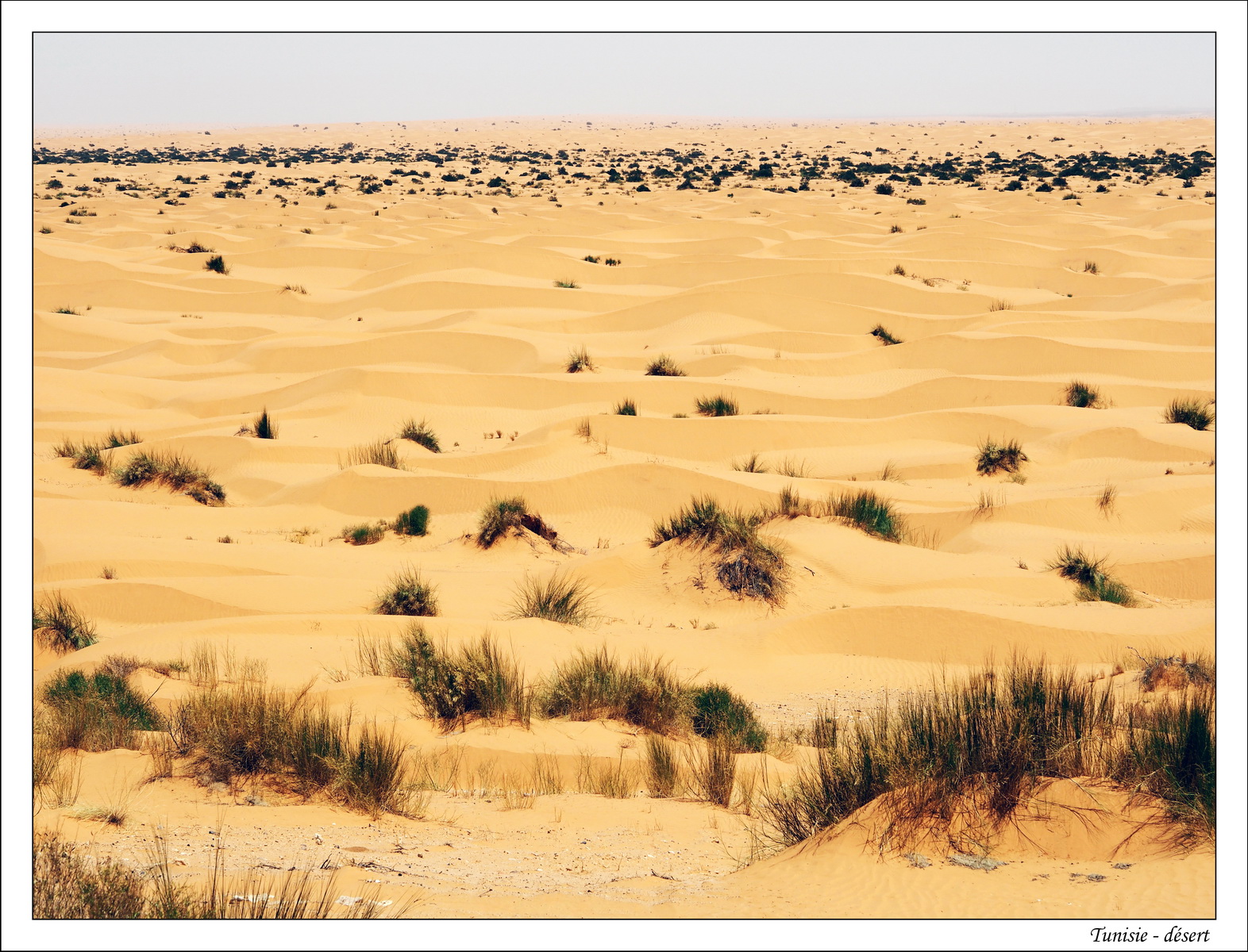 2018 - 05 - Djerba - 15